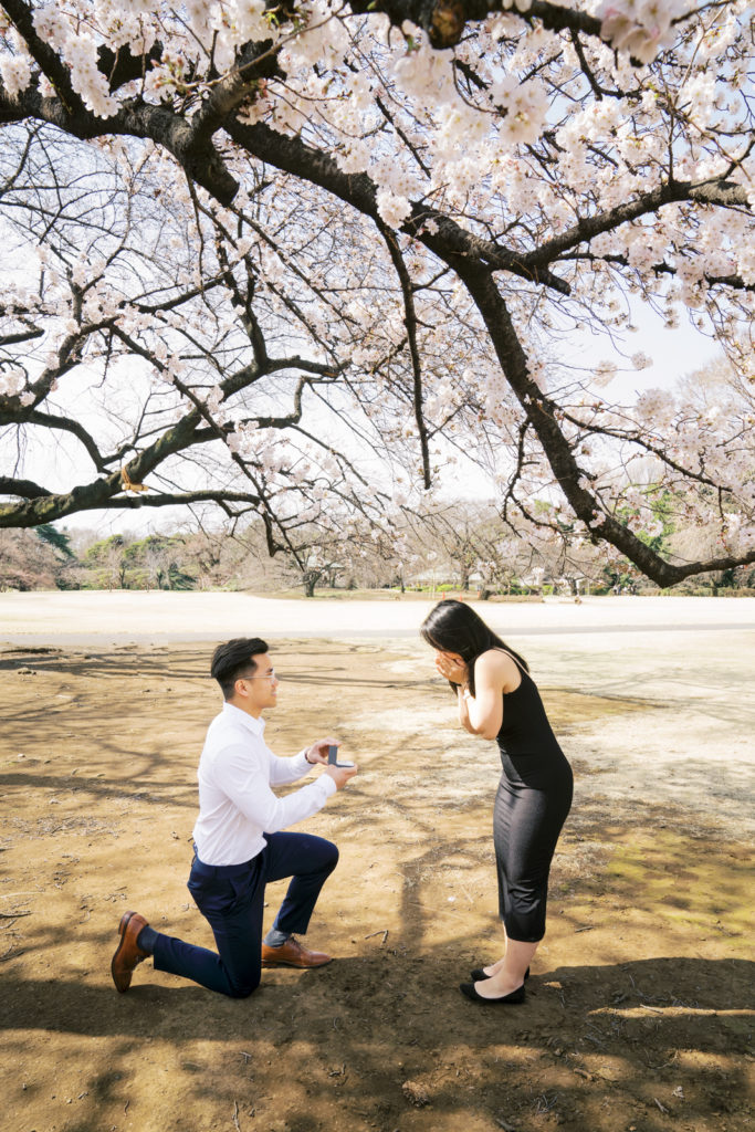 cherry blossoms proposal