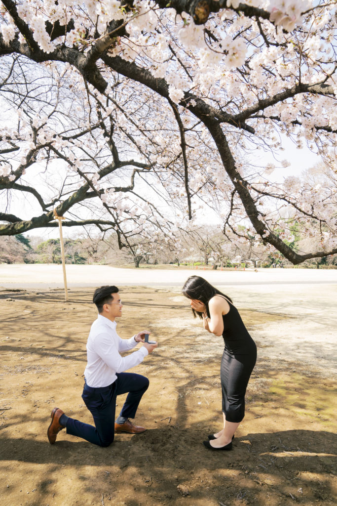cherry blossoms couples session