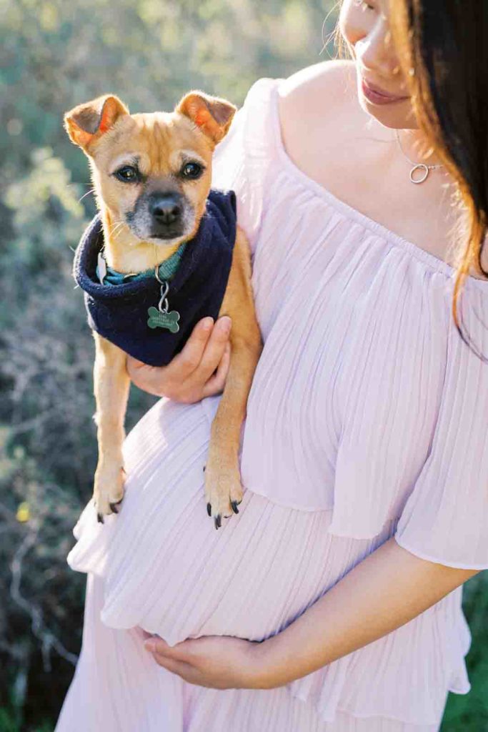 maternity photos with puppy