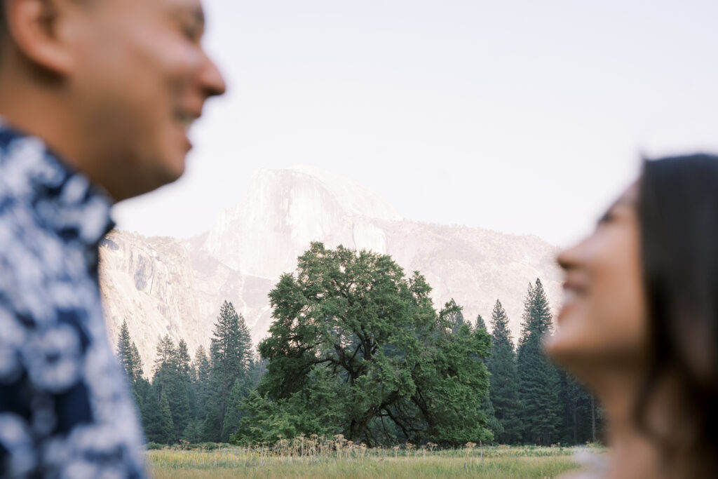 Newly engaged couple in a romantic silhouette against the lush greens of glacier point