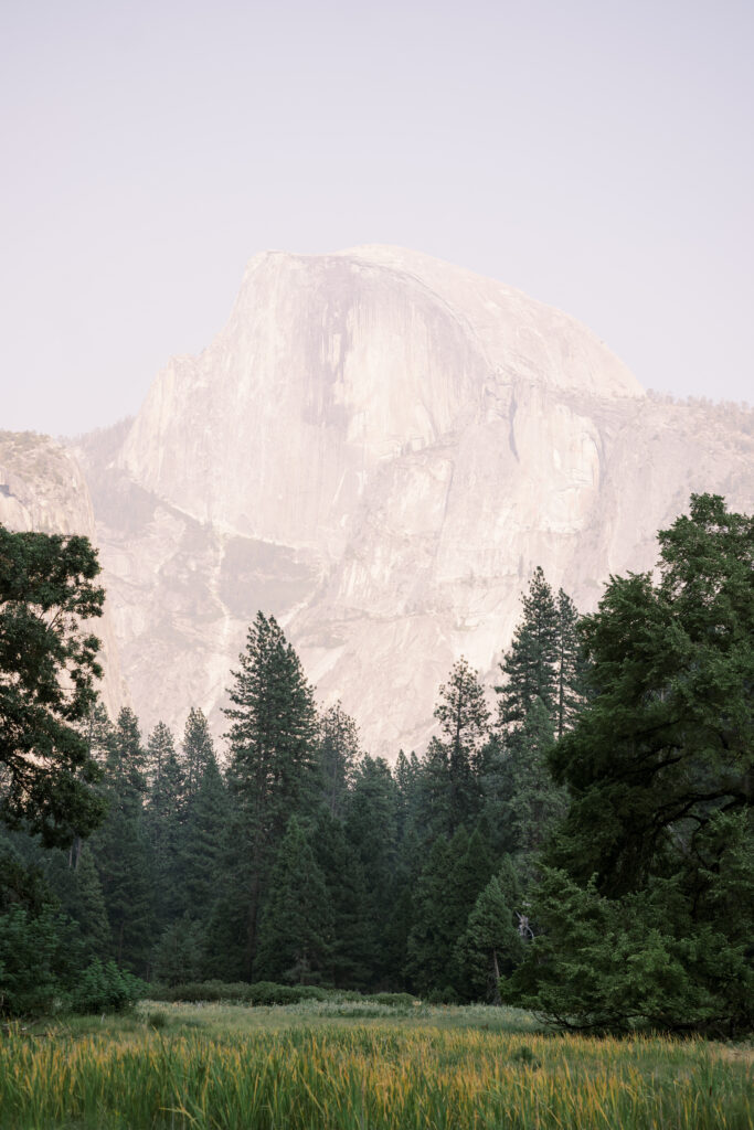 Dense green forest with towering Yosemite peaks behind