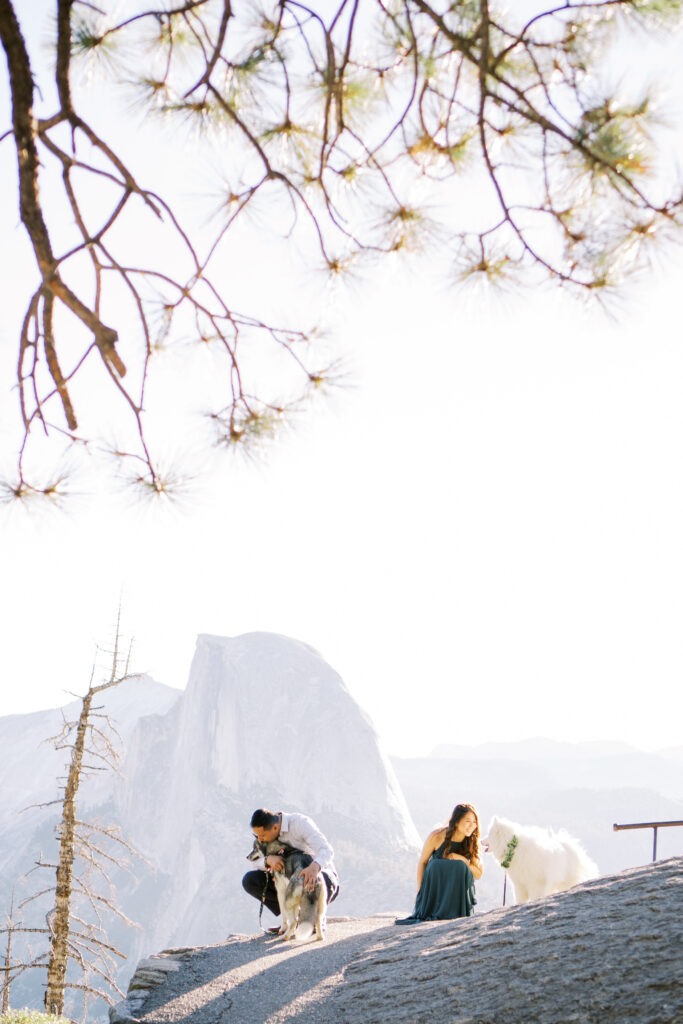 Newly engaged couple kissing their dogs at the cliffside in Yosemite