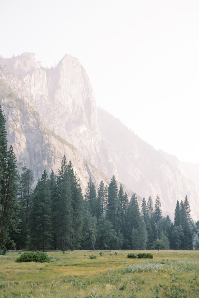 yosemite glacier point view with the lush green trees