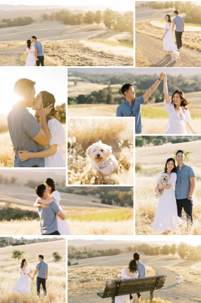 pinterest grid of an arastradero preserve engagement