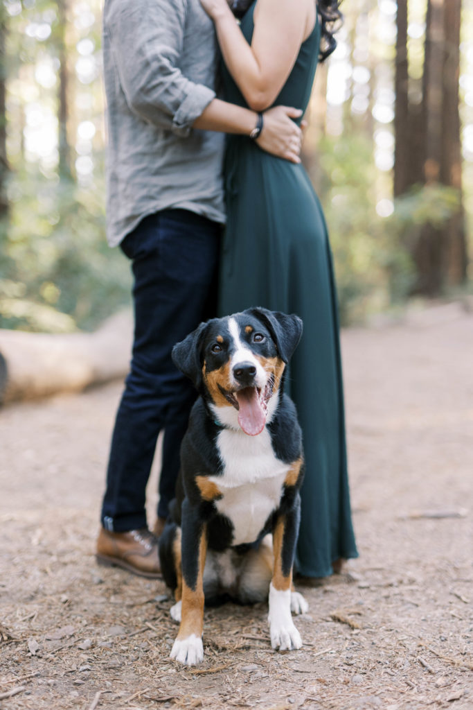 blurry engagement photo sessions with dog