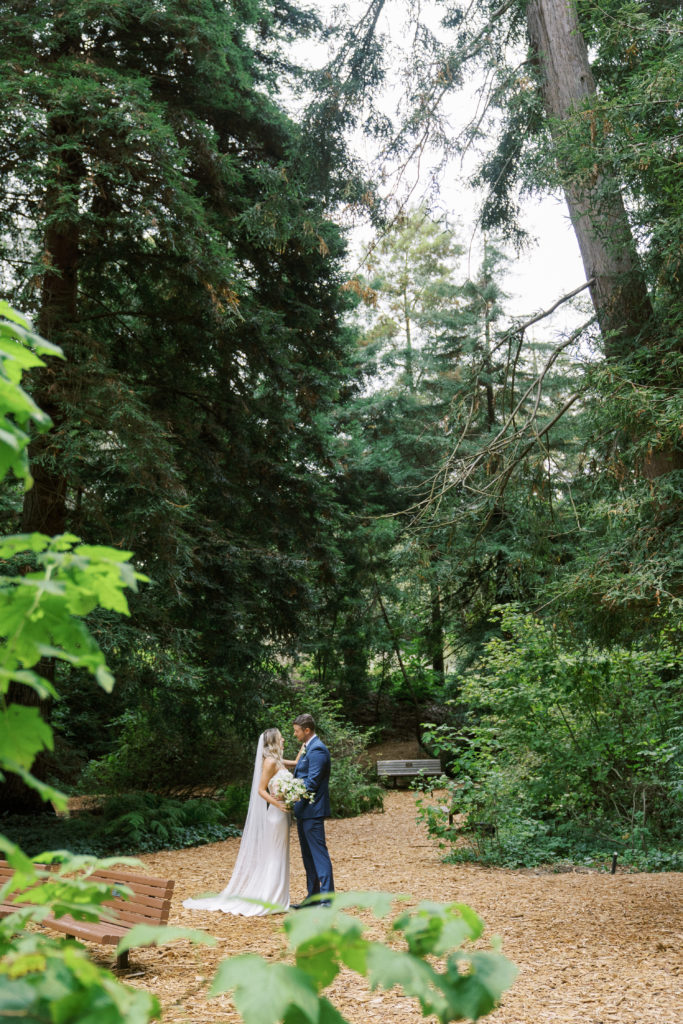 bride and groom in the middle of the forest