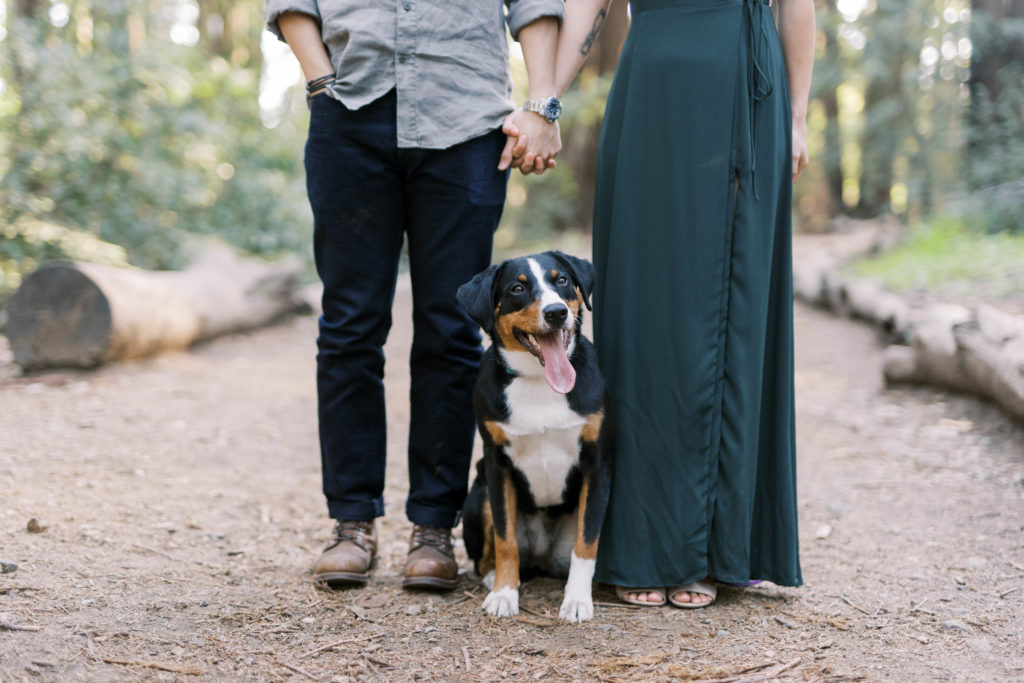 couple holding hands with dog in the woods