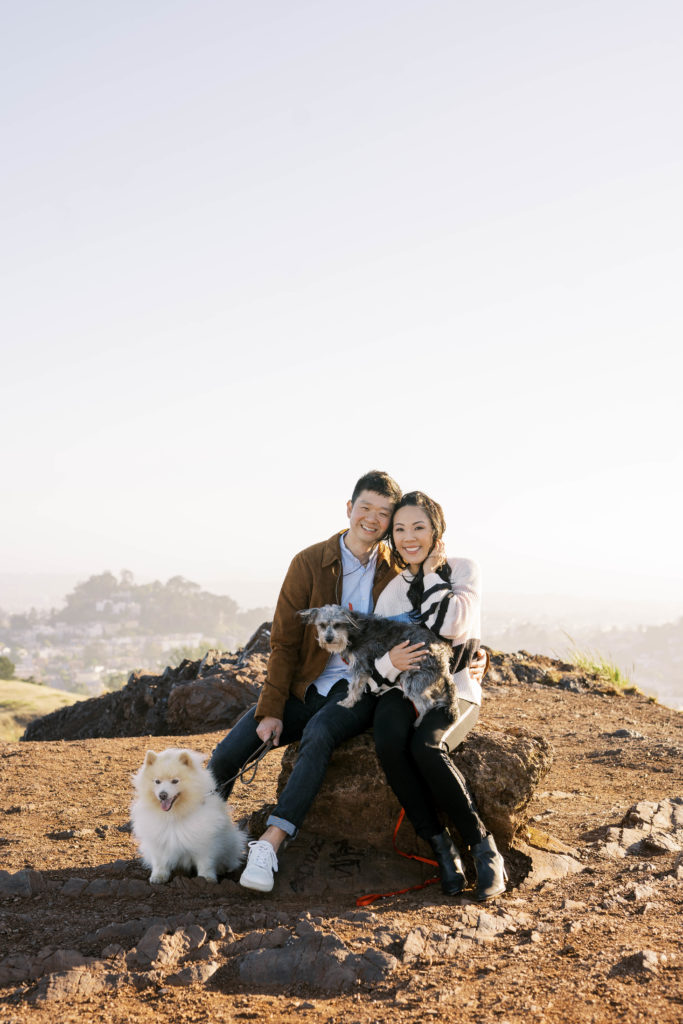 engaged couple sitting on a rock with their dogs