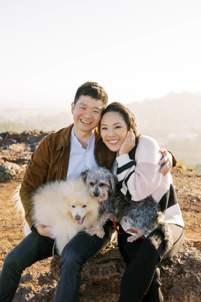 Engaged couple's dogs posing on their laps