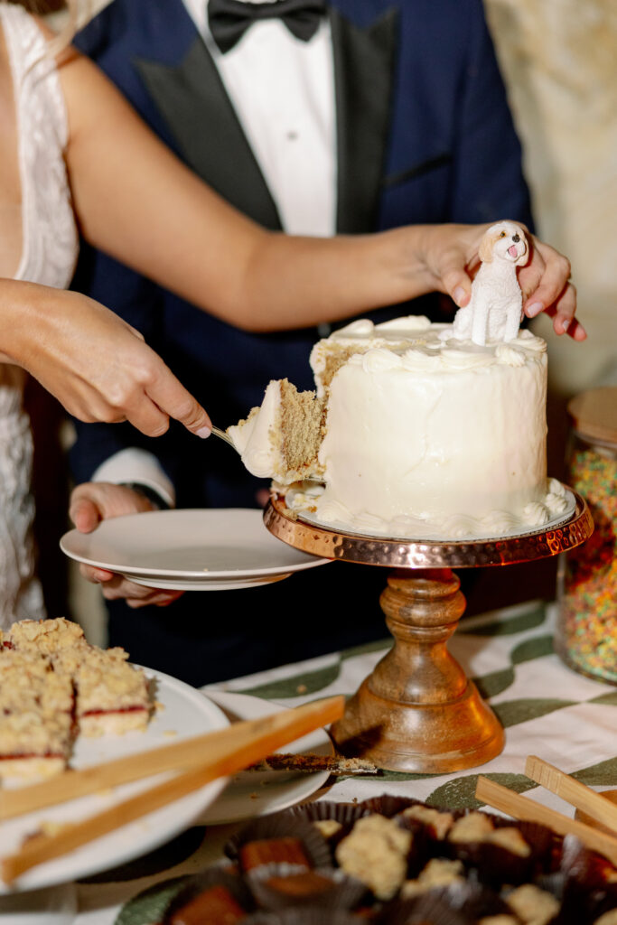bride and groom cutting wedding cake