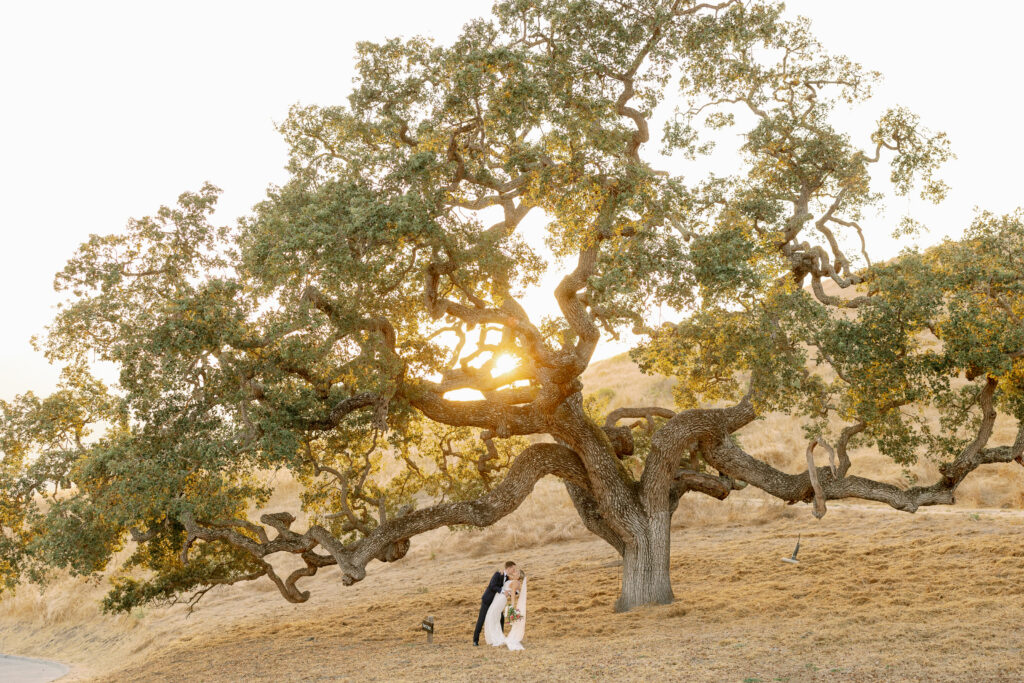 bride and groom posing for a photo during sunset