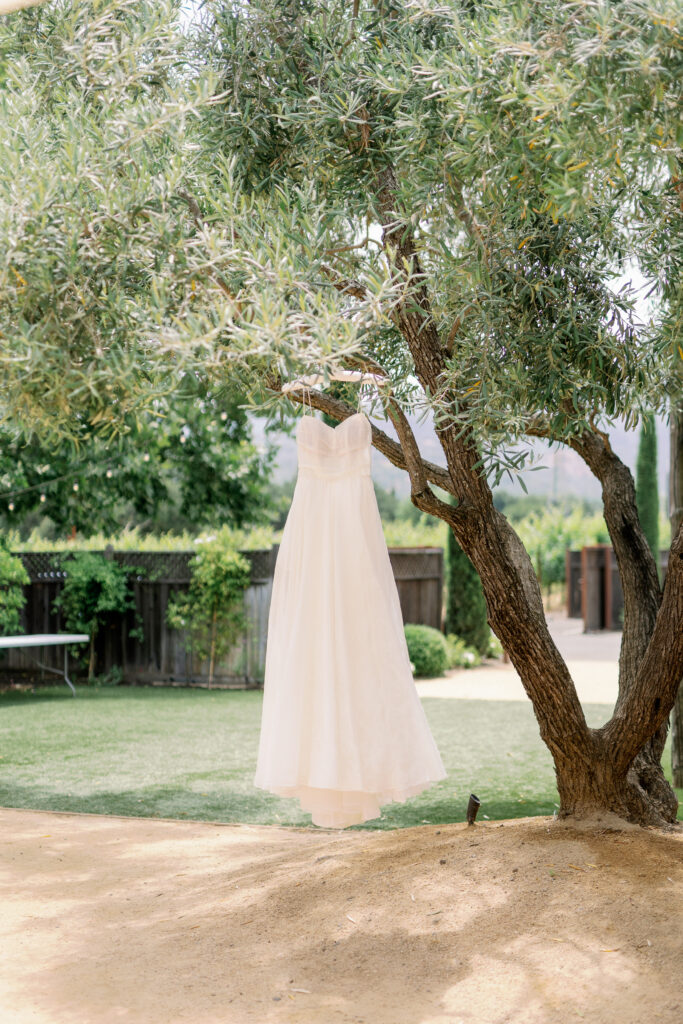 bridal gown hanging on a tree